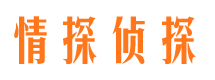 江川侦探